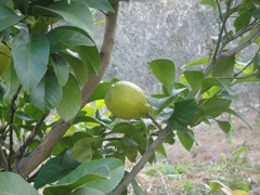 image004.jpg
