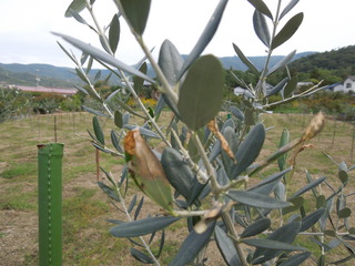 DSCN2110.JPG