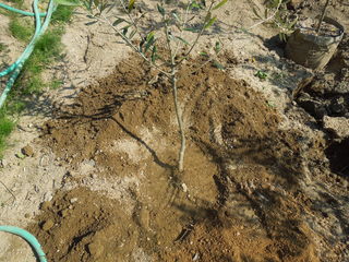 DSCN4051.JPG