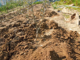 DSCN4056.JPG