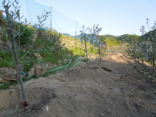 DSCN4061.JPG
