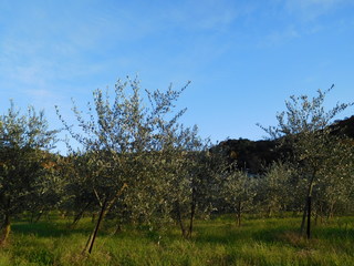 DSCN8075.JPG