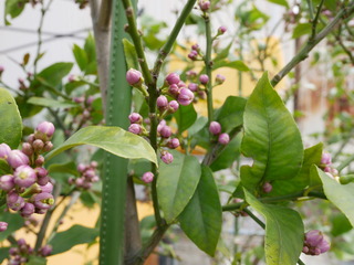 P1000426.JPG