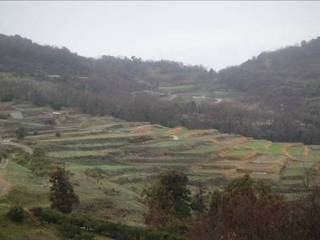 image001.jpg